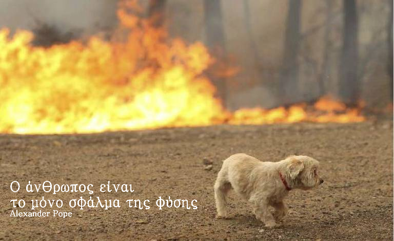 Ίσως έτσι, ίσως... η φύση μας λυπηθεί και δεν μας αποβάλλει...