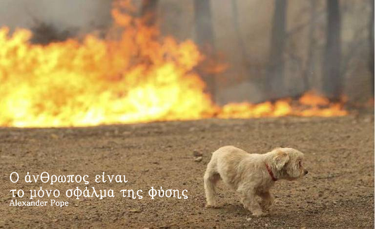 Ίσως έτσι, ίσως... η φύση μας λυπηθεί και δεν μας αποβάλλει...